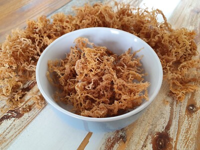 Fresh golden sea moss